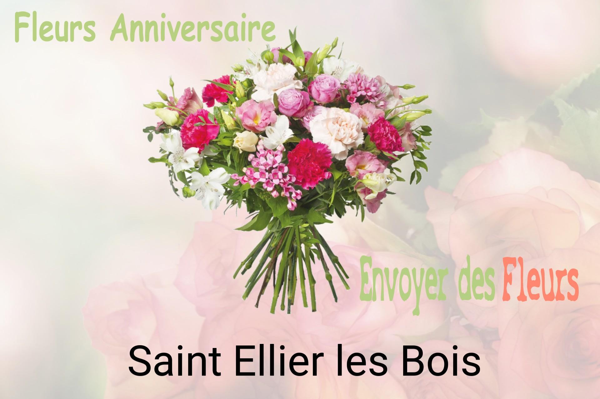 Bouquet de fleurs d’anniversaire livré à Saint-Ellier-les-Bois