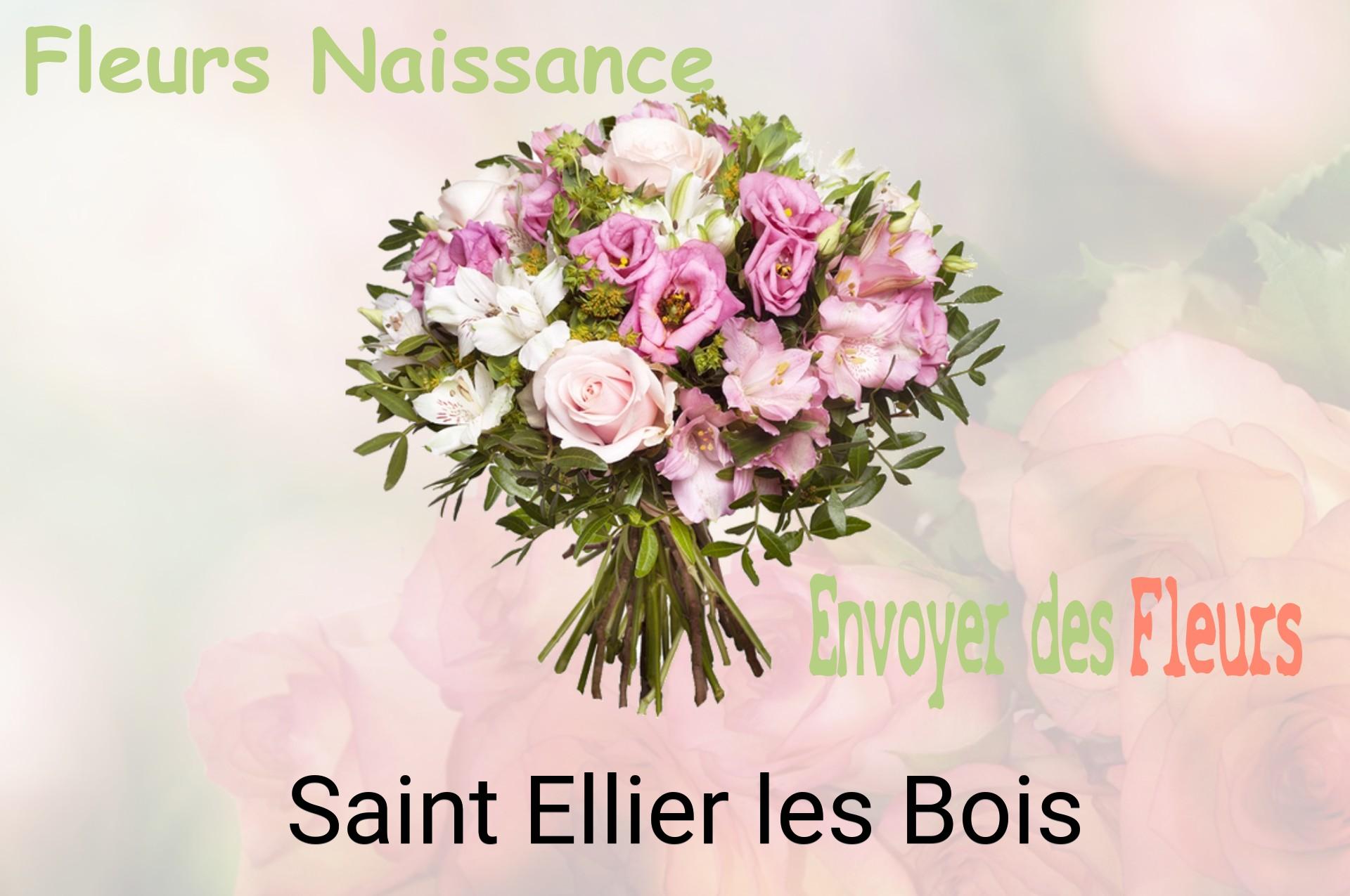 Bouquet de fleurs de naissance livré à Saint-Ellier-les-Bois