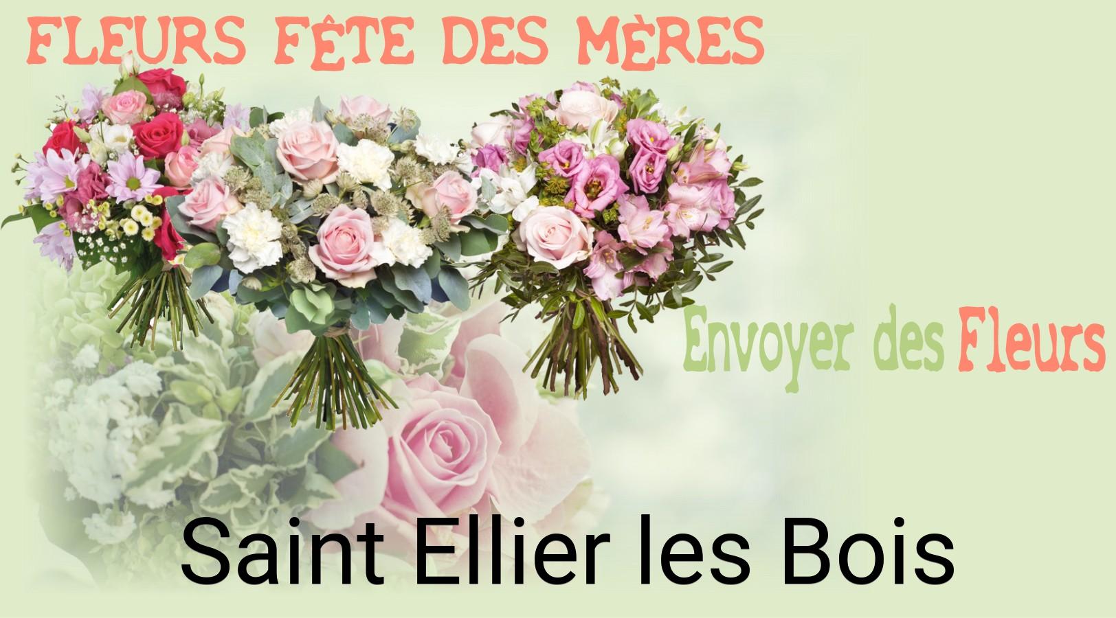 Bouquet de Fête des Mères livré à Saint-Ellier-les-Bois